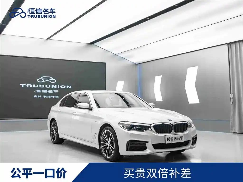 2020 BMW 5 Series 530Li Leading Edition M Sport Package — миниатюра 1