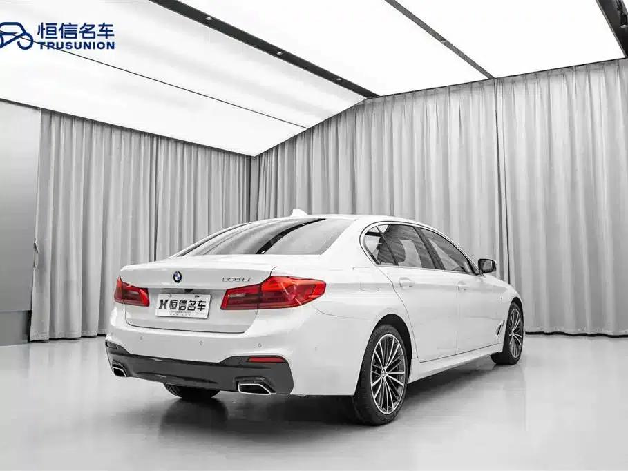 2020 BMW 5 Series 530Li Leading Edition M Sport Package — миниатюра 5