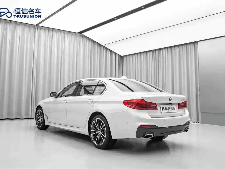 2020 BMW 5 Series 530Li Leading Edition M Sport Package — миниатюра 7