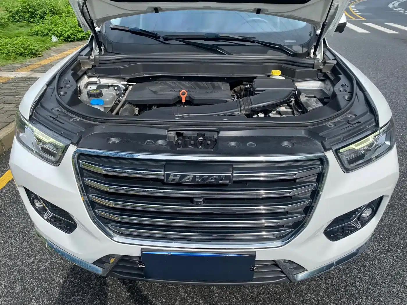 Haval H6 2020 2.0GDIT Automatic Platinum Champion Edition — миниатюра 18