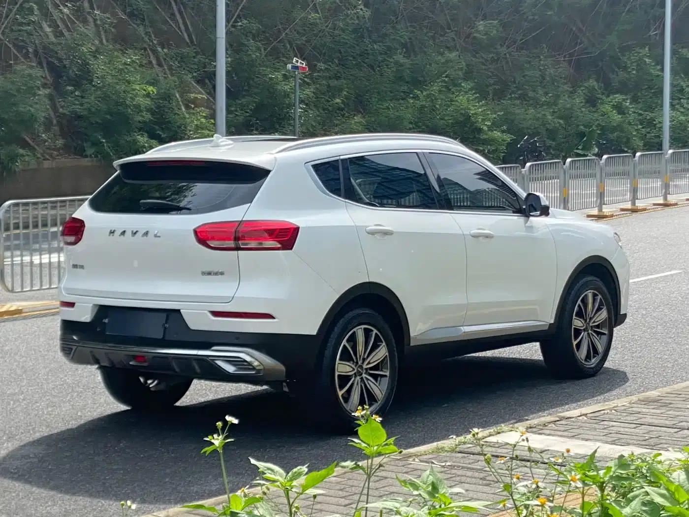 Haval H6 2020 2.0GDIT Automatic Platinum Champion Edition — миниатюра 4