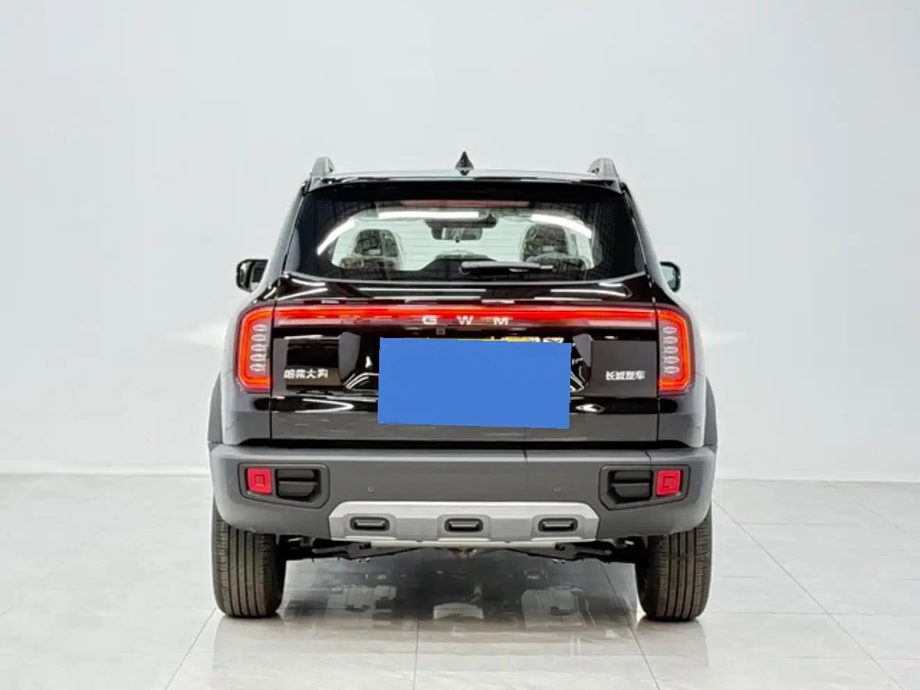 Haval Big Dog 2026 1.5T DCT Border Collie Edition — миниатюра 5