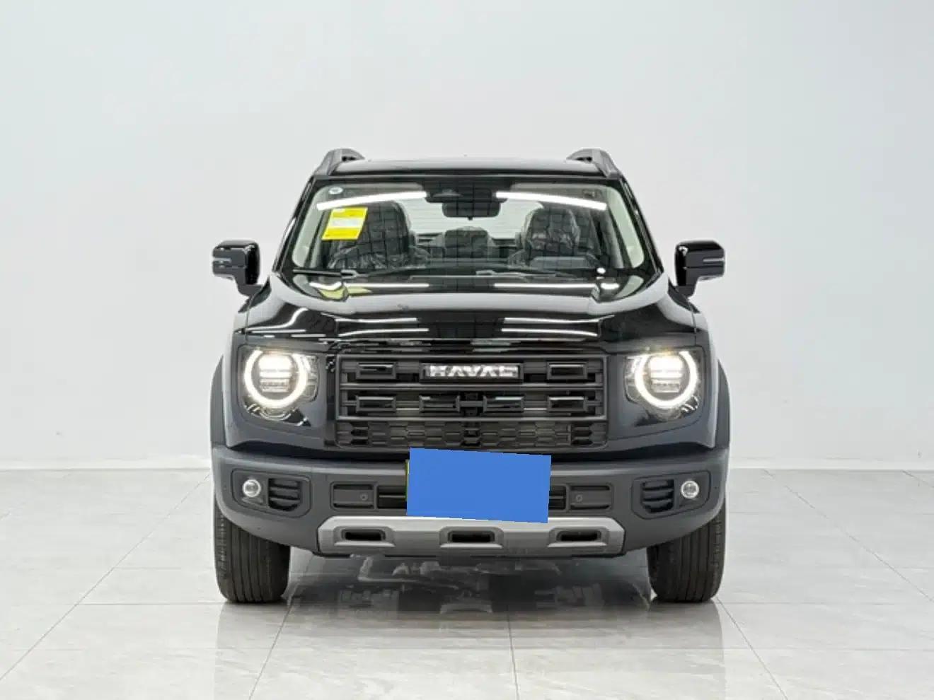 Haval Big Dog 2026 1.5T DCT Border Collie Edition — миниатюра 8