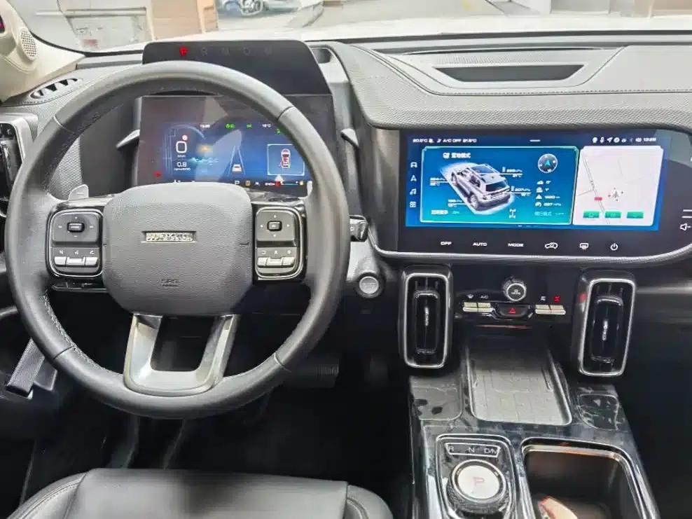 Haval Big Dog 2022 2.0T DCT 4WD Chinese Rural Dog Hunting Edition — миниатюра 6