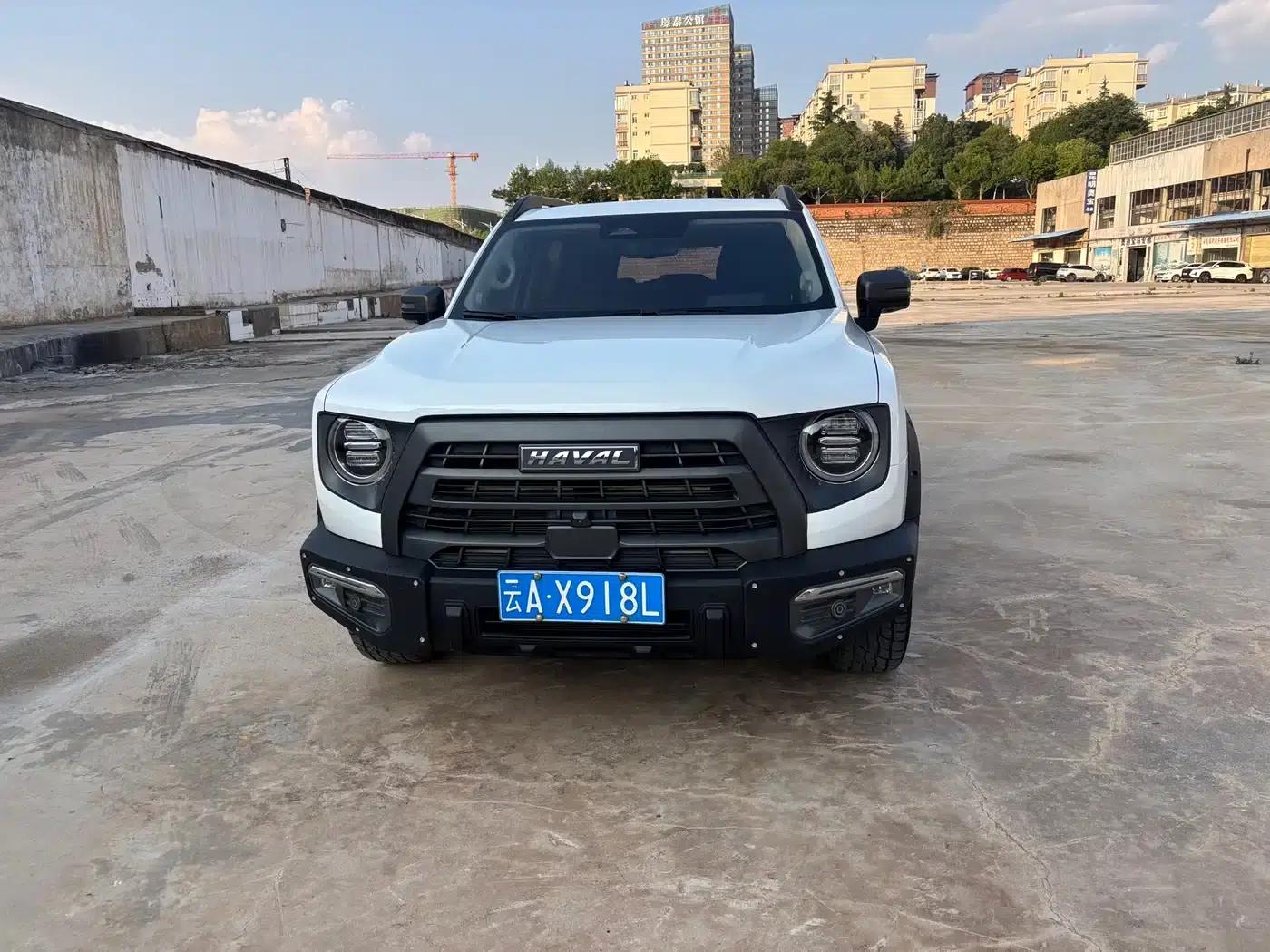 Haval Big Dog 2022 2.0T DCT 4WD Chinese Rural Dog Hunting Edition — миниатюра 2