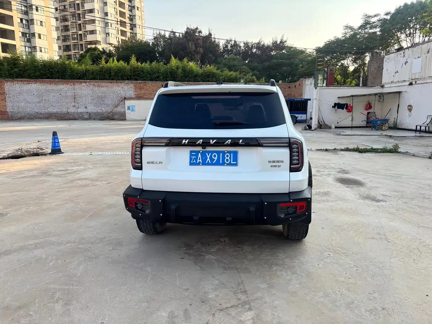 Haval Big Dog 2022 2.0T DCT 4WD Chinese Rural Dog Hunting Edition — миниатюра 6