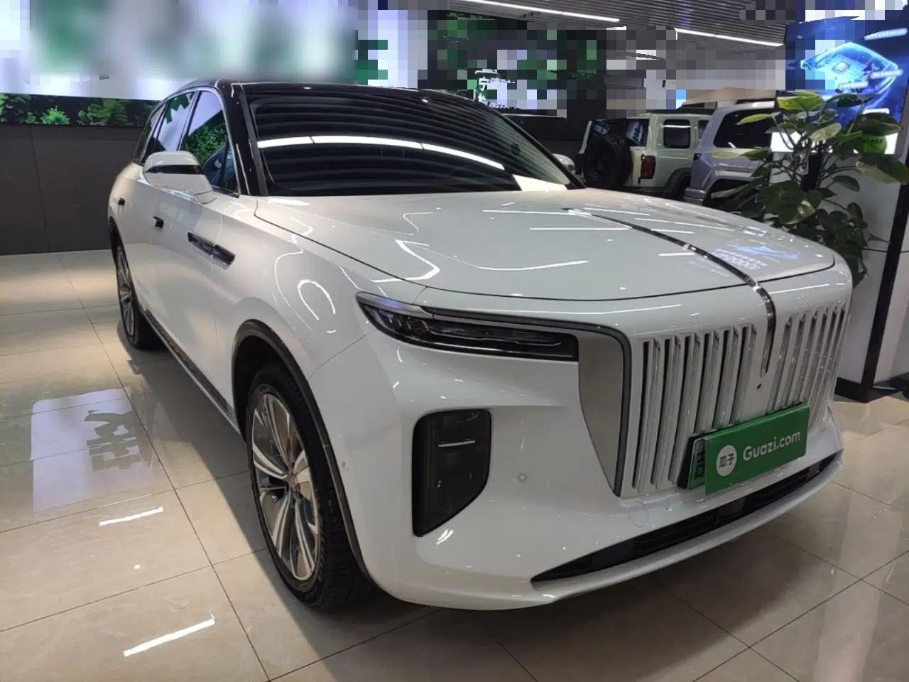 Used Hongqi E-HS9 2022 690 km Range Flagship Edition Six Seats — миниатюра 12