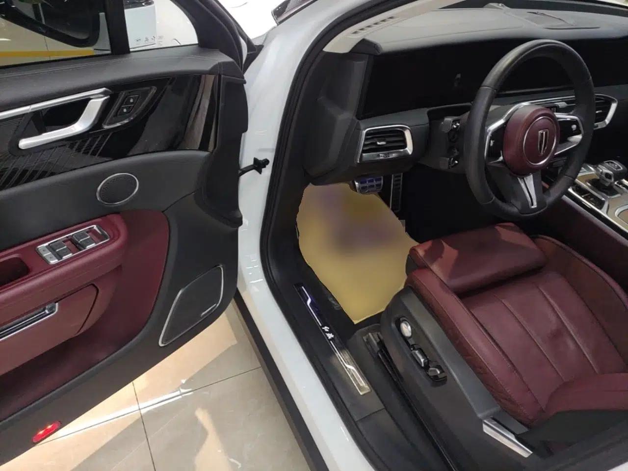 Used Hongqi E-HS9 2022 690 km Range Flagship Edition Six Seats — миниатюра 23