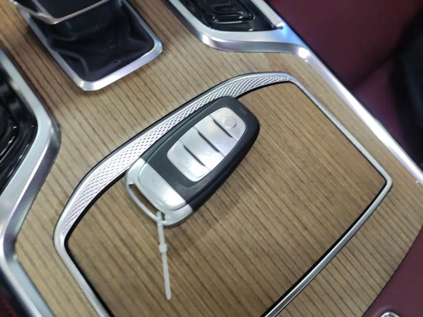 Used Hongqi E-HS9 2022 690 km Range Flagship Edition Six Seats — миниатюра 28