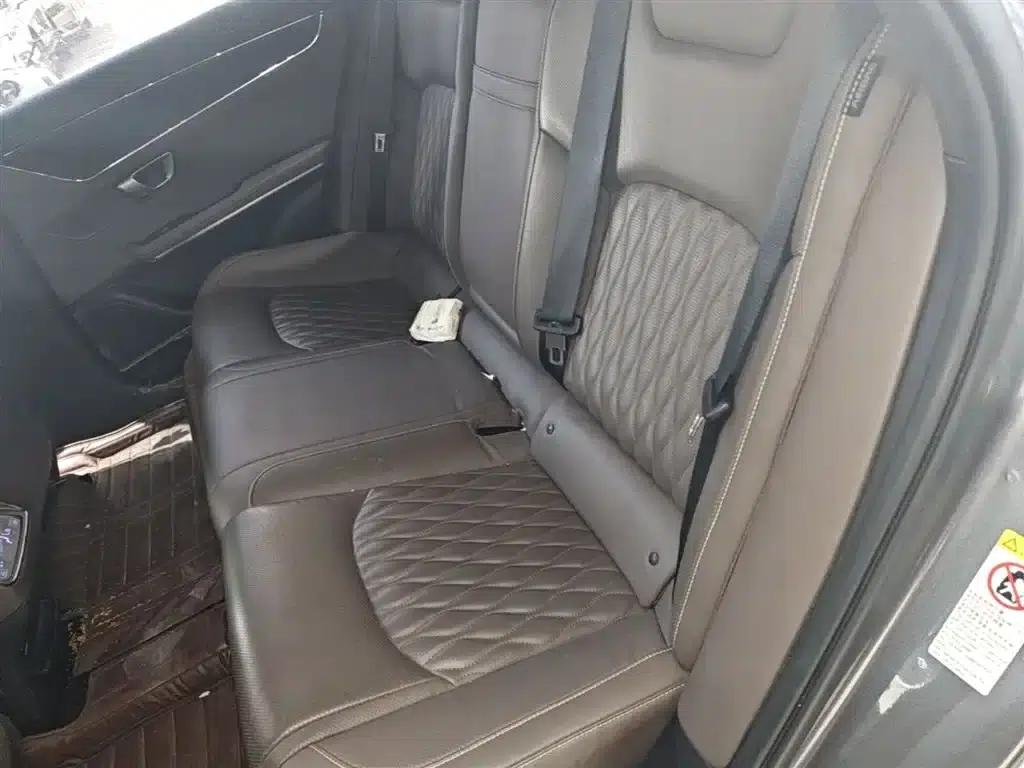 Han 2020 EV Extended Range Premium Edition — миниатюра 13