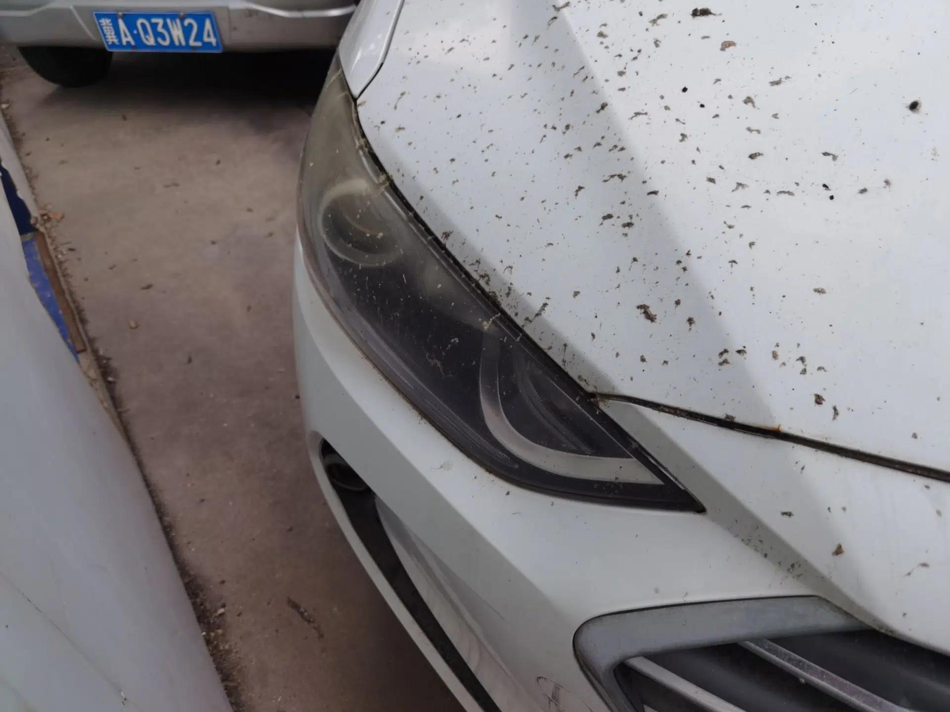 Used Hyundai Elantra (6th Generation / Lingdong) 2016 1.6L Automatic ZhiXuan – Elite Version — миниатюра 7