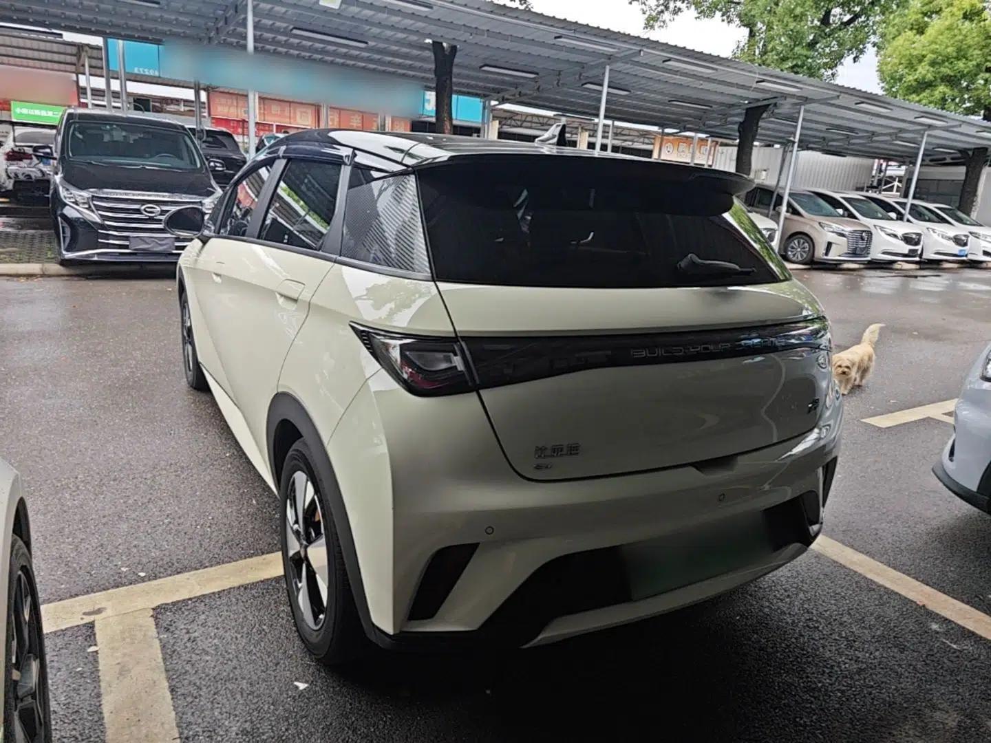 Used BYD Dolphin 2023 420 km Fashion Edition — миниатюра 4