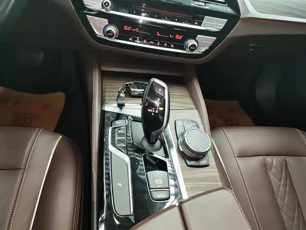 BMW 5 Series 2019 Facelift 530Li Leading Luxury Package — миниатюра 14
