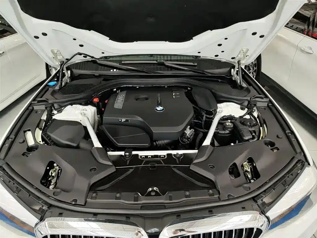 BMW 5 Series 2019 Facelift 530Li Leading Luxury Package — миниатюра 20