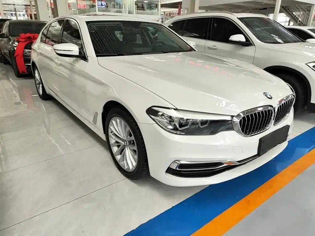 BMW 5 Series 2019 Facelift 530Li Leading Luxury Package — миниатюра 4
