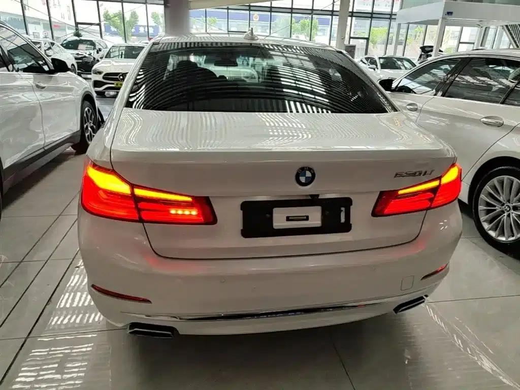 BMW 5 Series 2019 Facelift 530Li Leading Luxury Package — миниатюра 6