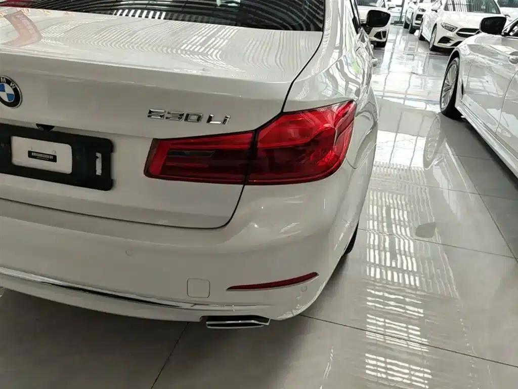 BMW 5 Series 2019 Facelift 530Li Leading Luxury Package — миниатюра 8