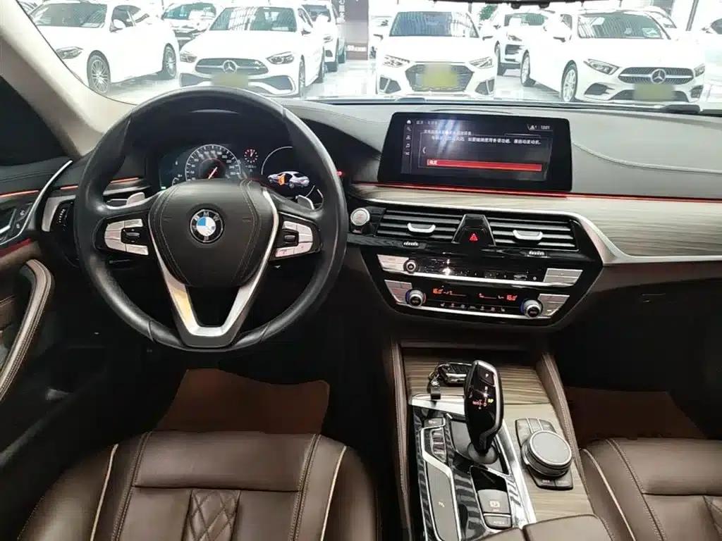 BMW 5 Series 2019 Facelift 530Li Leading Luxury Package — миниатюра 10