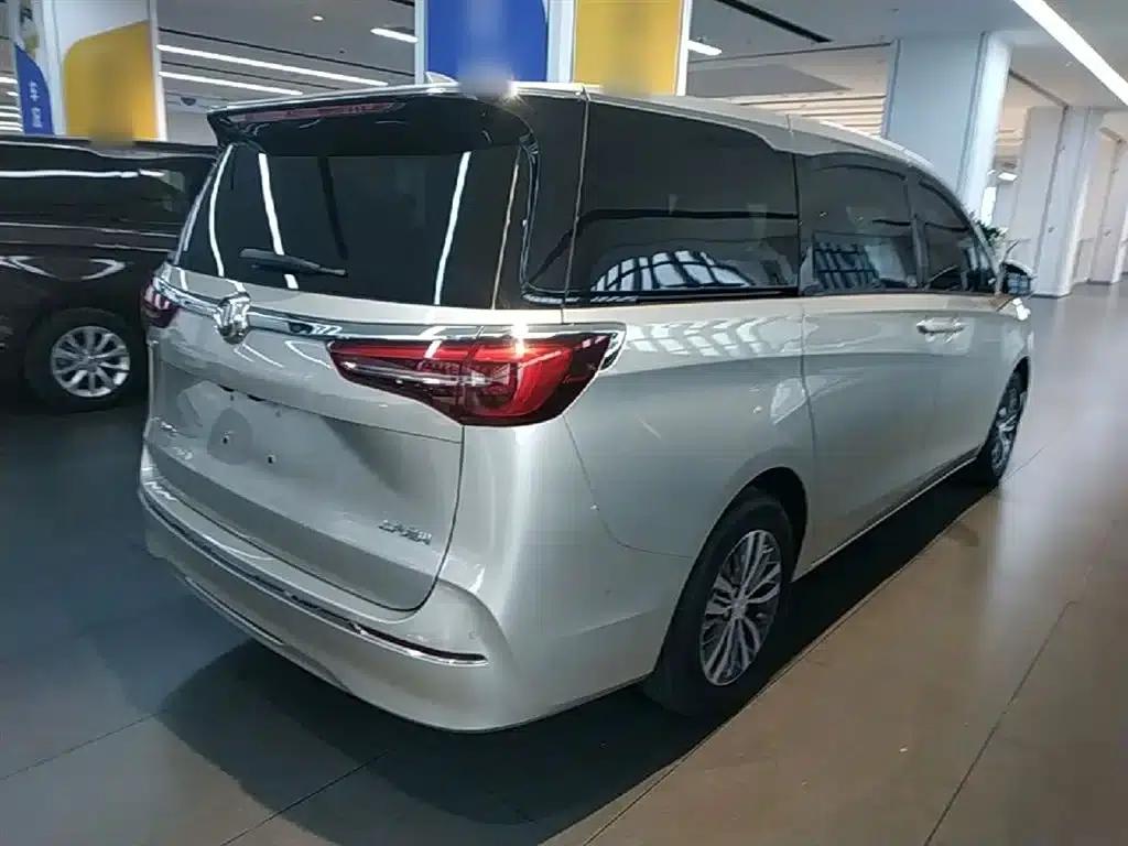 Buick GL8 2021 ES Avantgarde 653T Premium Edition — миниатюра 7