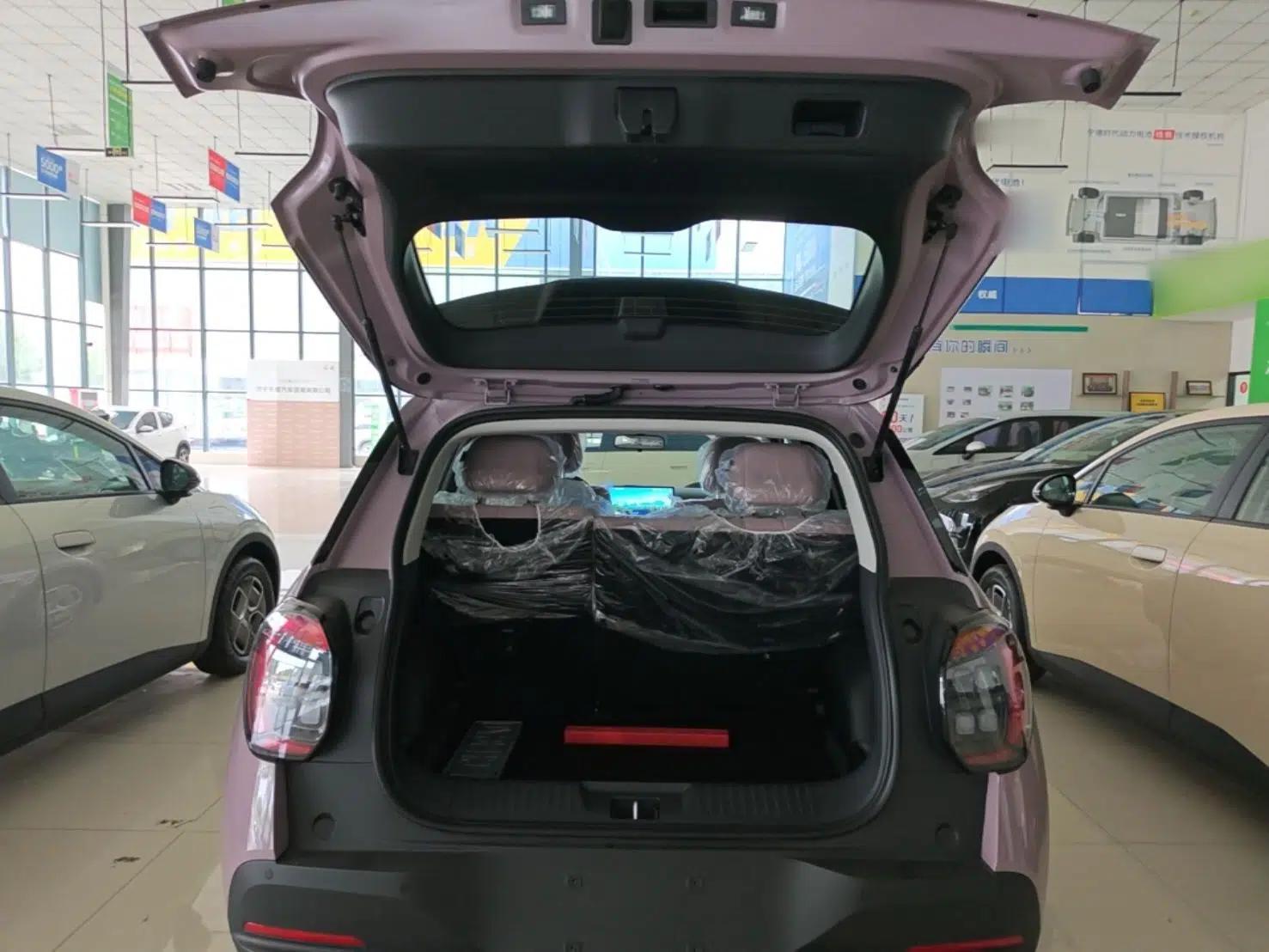 Used AION UT 2025 330 Starlight Edition — миниатюра 22