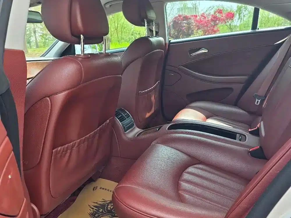 Mercedes-Benz CLS 2009 CLS 300 — миниатюра 8