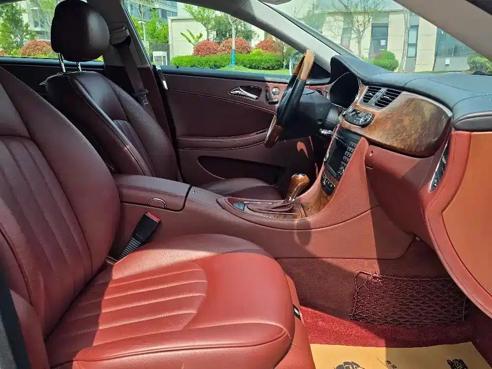 Mercedes-Benz CLS 2009 CLS 300 — миниатюра 9