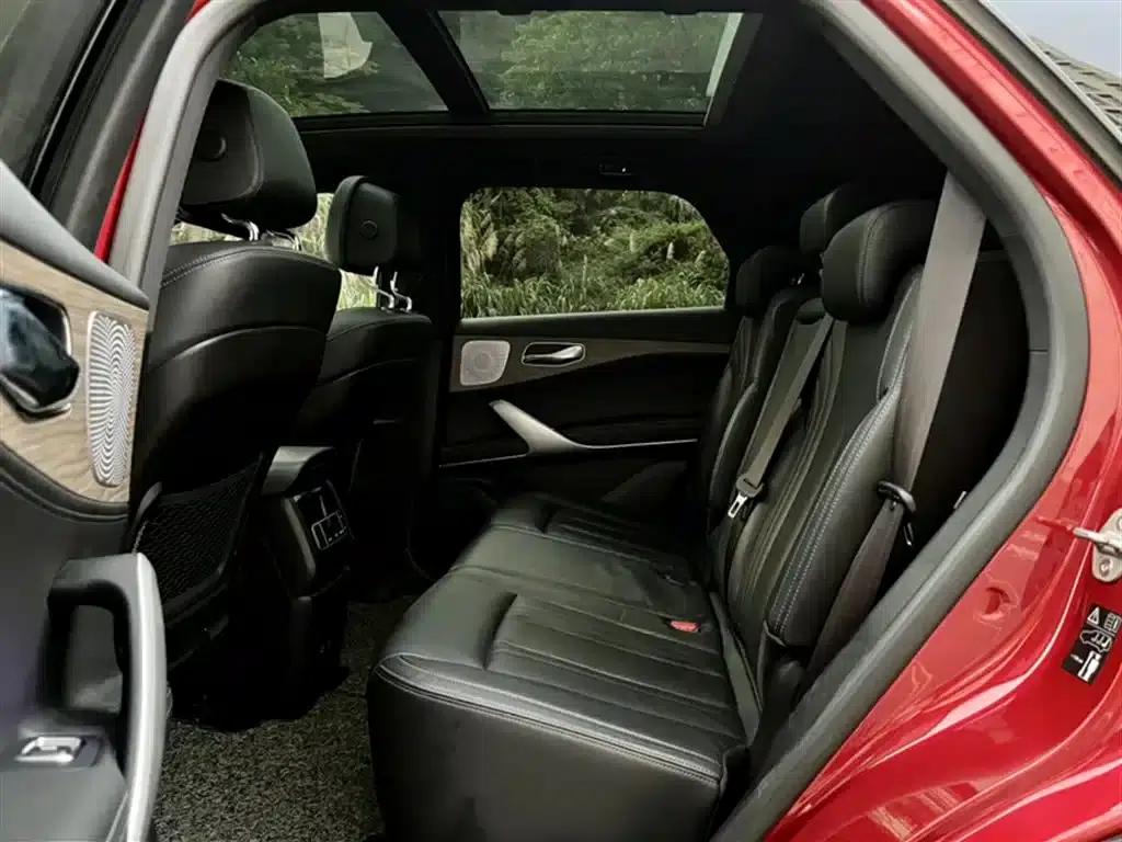 Denza X 2020 PHEV Flagship Edition — миниатюра 12