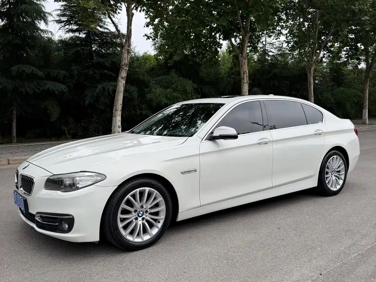 2014 BMW 5 Series 525Li Luxury Design Package — миниатюра 3