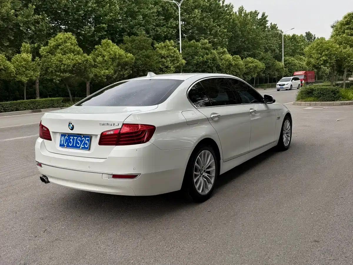 2014 BMW 5 Series 525Li Luxury Design Package — миниатюра 10