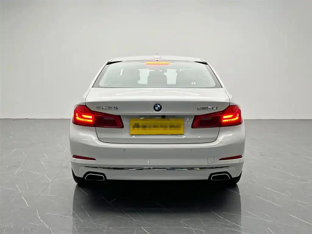 2020 BMW 5 Series 525Li Luxury Package — миниатюра 5