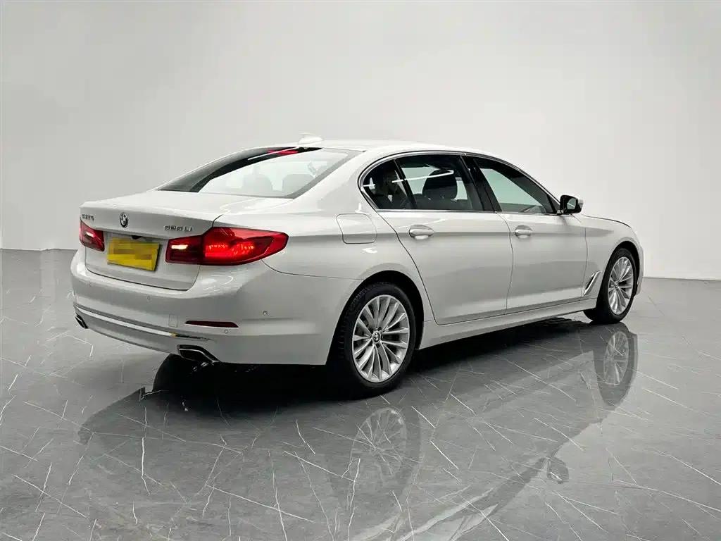 2020 BMW 5 Series 525Li Luxury Package — миниатюра 6