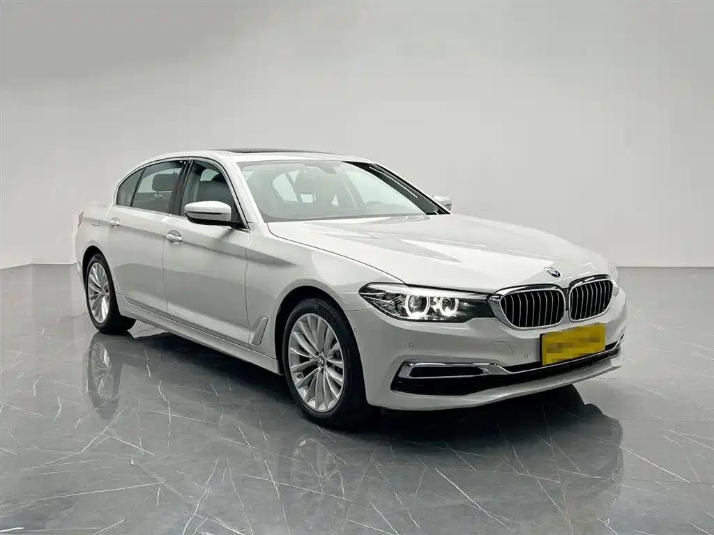 2020 BMW 5 Series 525Li Luxury Package — миниатюра 8