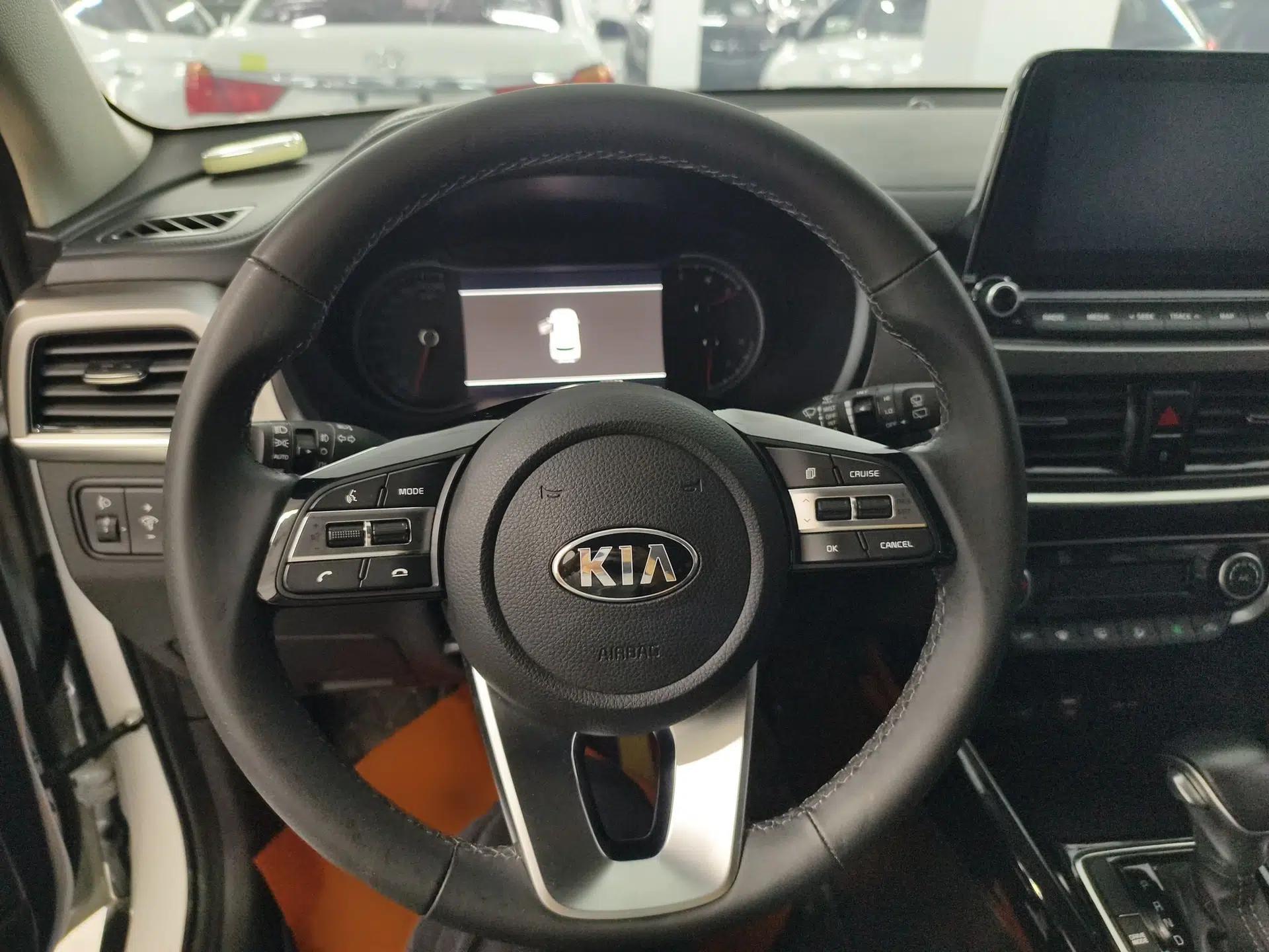 Used Kia Sportage R 2019 2.0L Automatic Smart Luxury Edition — миниатюра 8