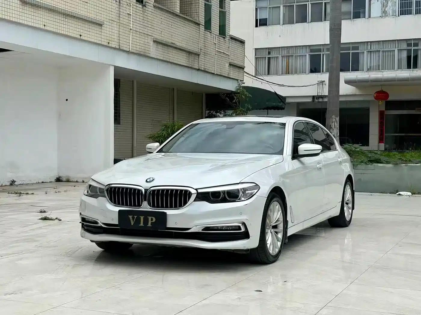 2019 BMW 5 Series 525Li Luxury Package — миниатюра 1