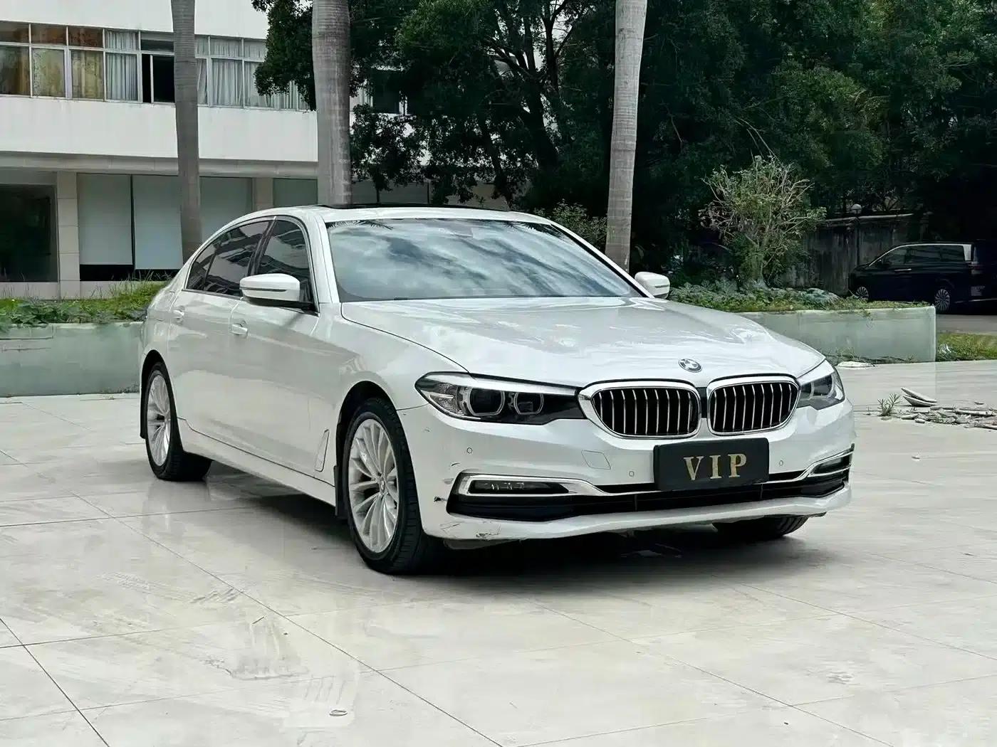 2019 BMW 5 Series 525Li Luxury Package — миниатюра 2