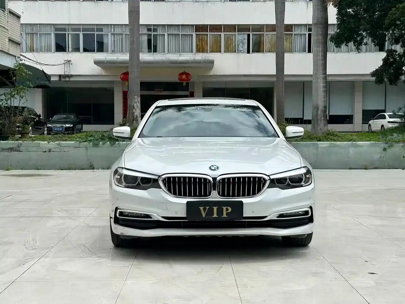 2019 BMW 5 Series 525Li Luxury Package — миниатюра 3