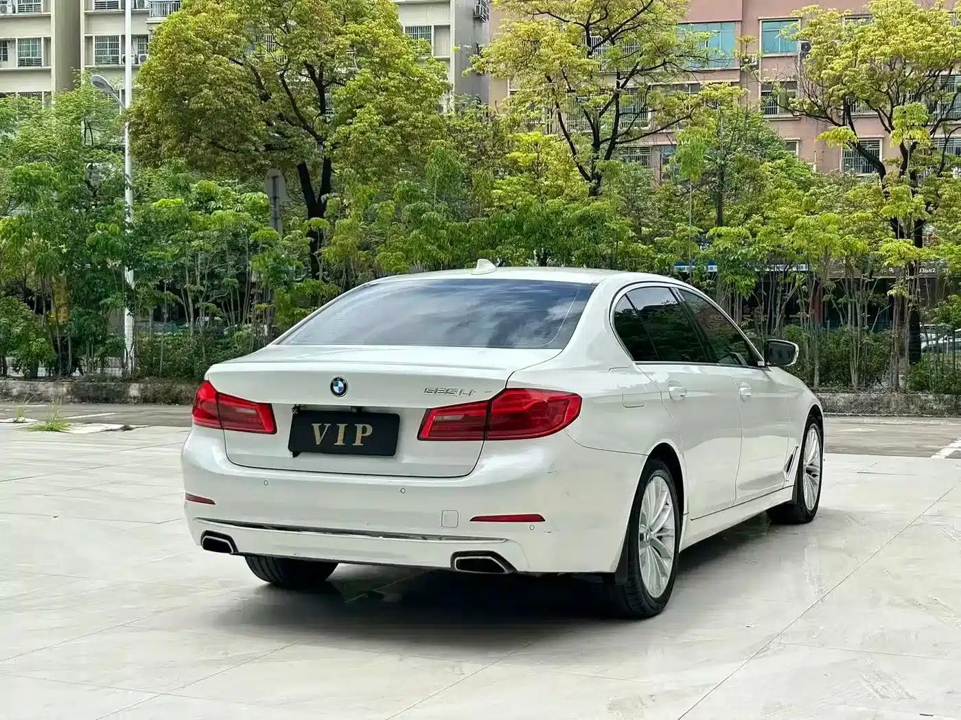 2019 BMW 5 Series 525Li Luxury Package — миниатюра 7
