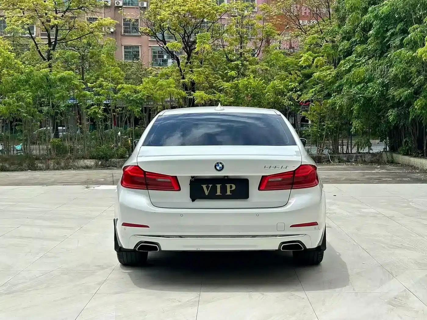 2019 BMW 5 Series 525Li Luxury Package — миниатюра 8