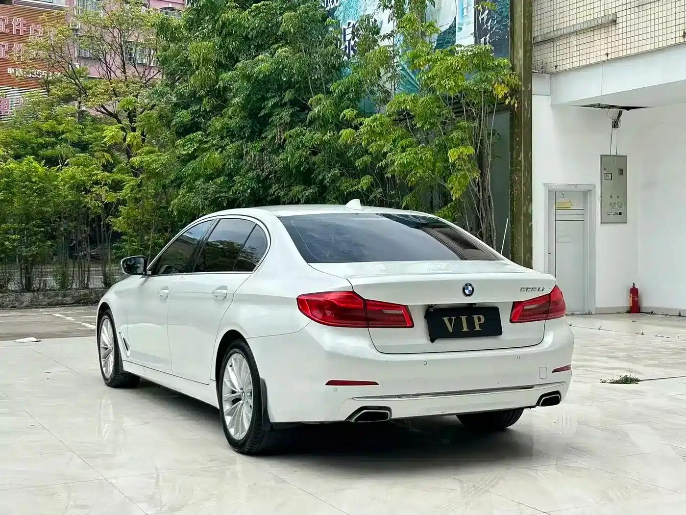 2019 BMW 5 Series 525Li Luxury Package — миниатюра 9