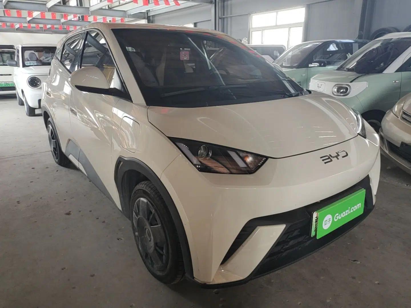 Used BYD Seagull 2024 Honor Edition 305km Dynamic Version — миниатюра 3
