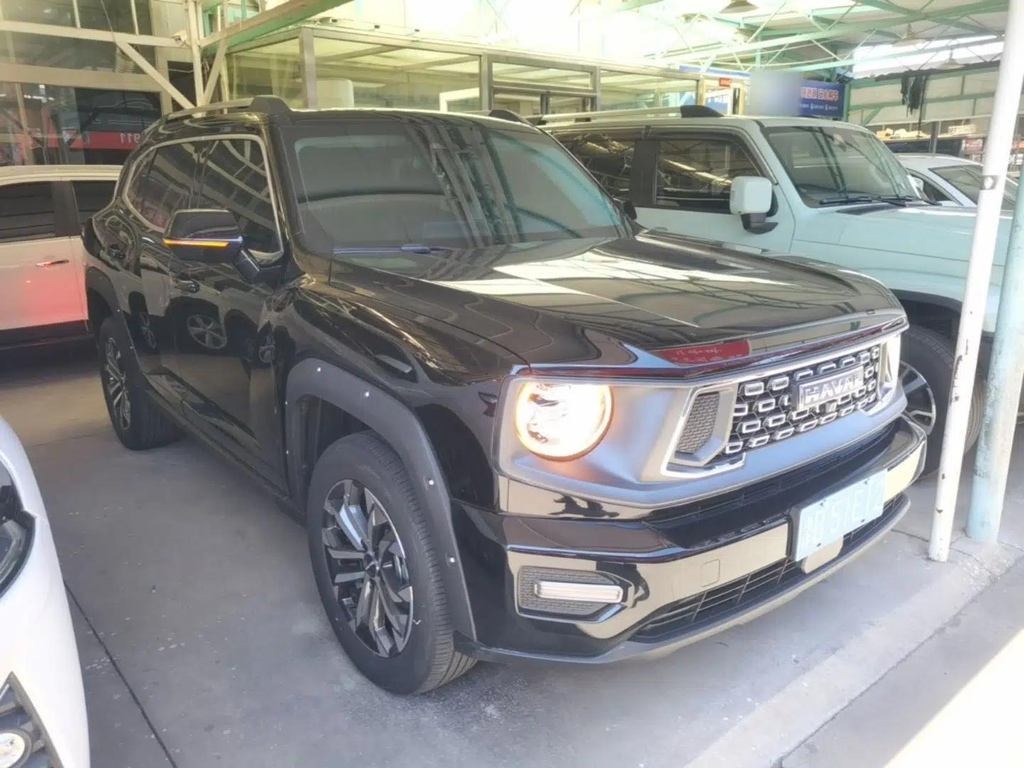 Used Haval H Dog 2023 2.0T Two-Wheel Drive Chaoye Version Plus — миниатюра 3