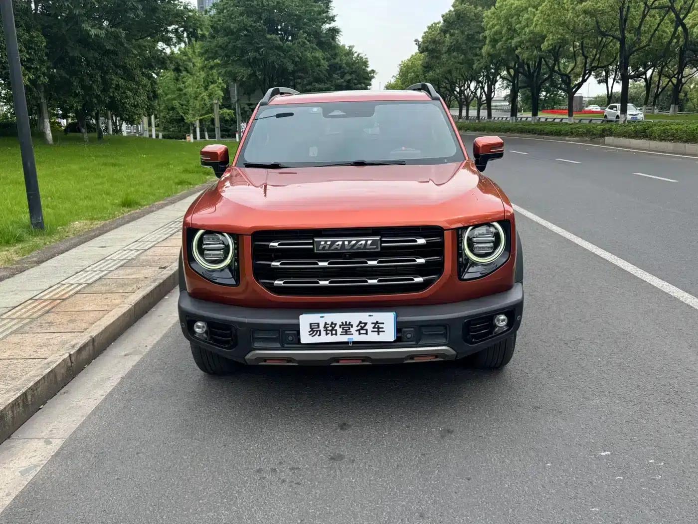 Haval Big Dog 2022 2.0T DCT 4WD Chinese Rural Dog Edition — миниатюра 2