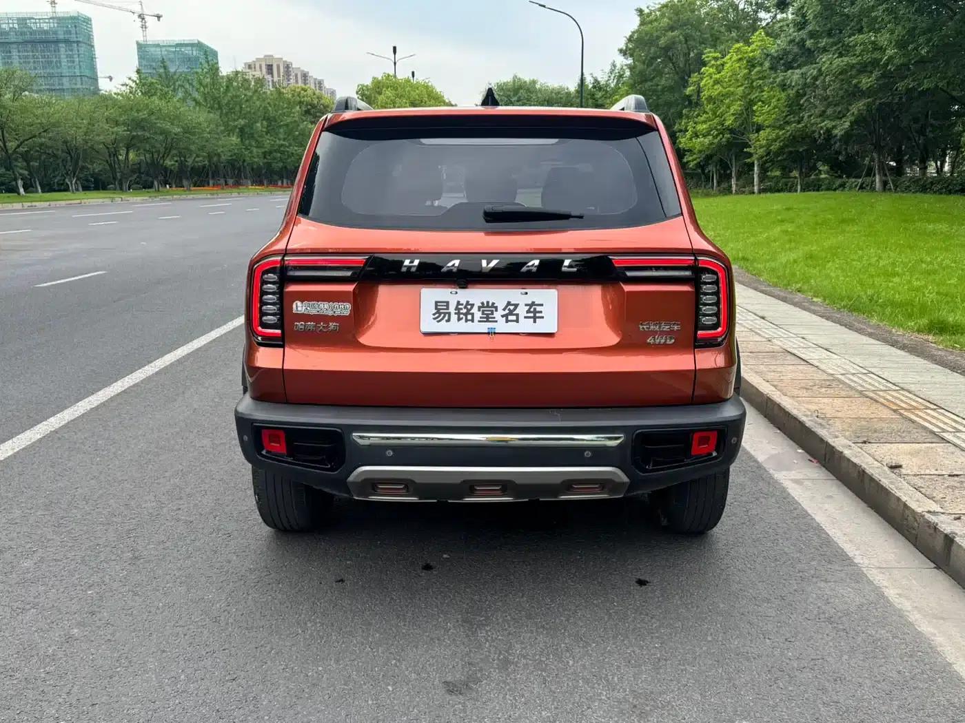 Haval Big Dog 2022 2.0T DCT 4WD Chinese Rural Dog Edition — миниатюра 5