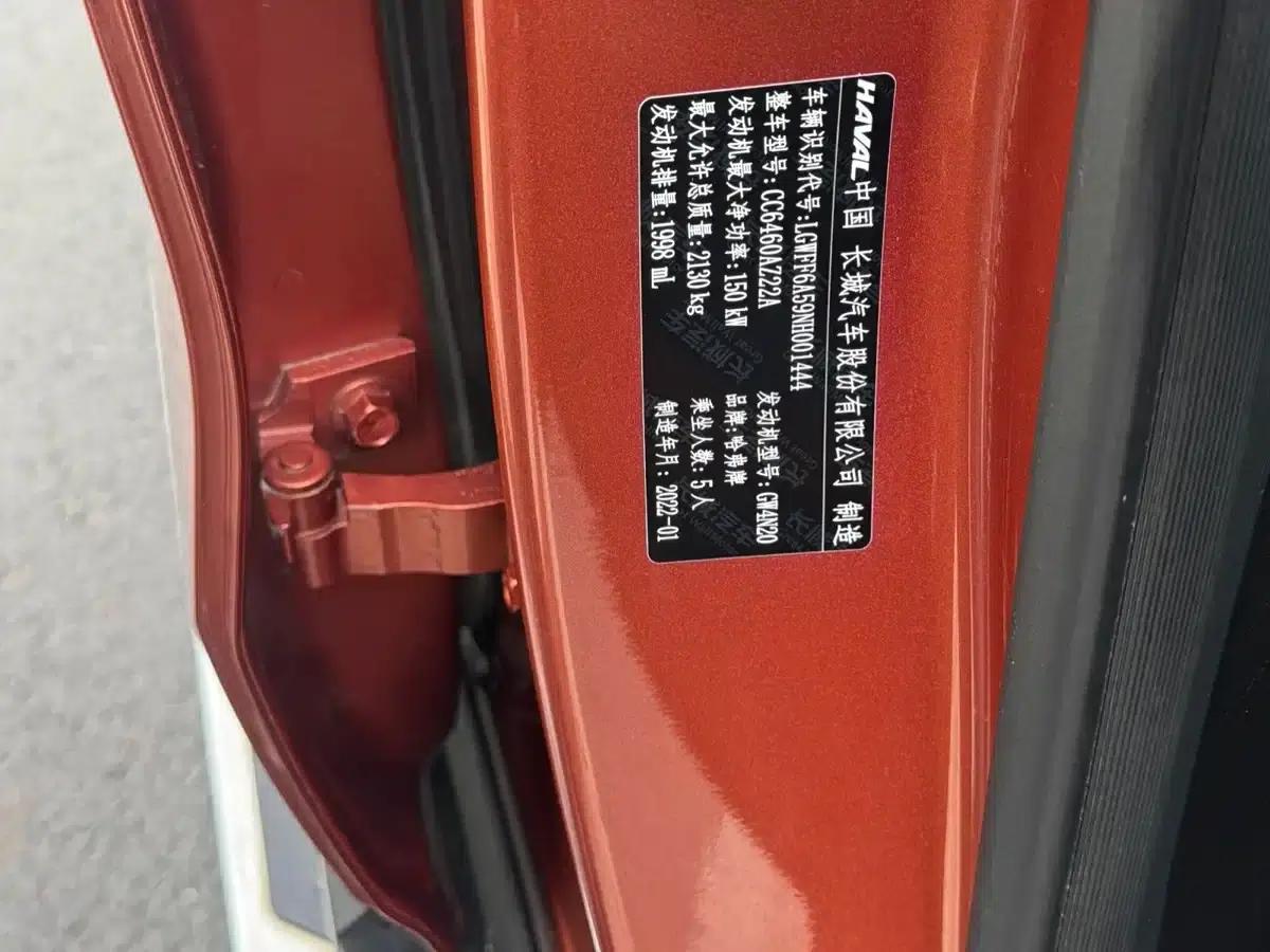 Haval Big Dog 2022 2.0T DCT 4WD Chinese Rural Dog Edition — миниатюра 10