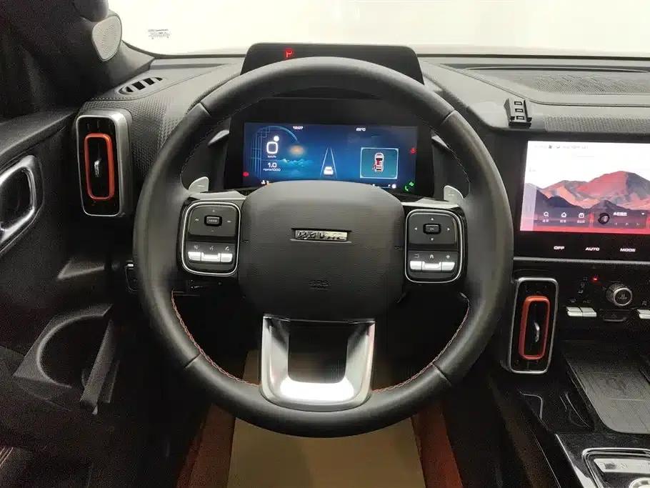 Haval Big Dog 2022 2.0T DCT 4WD Howling Dog Edition — миниатюра 15