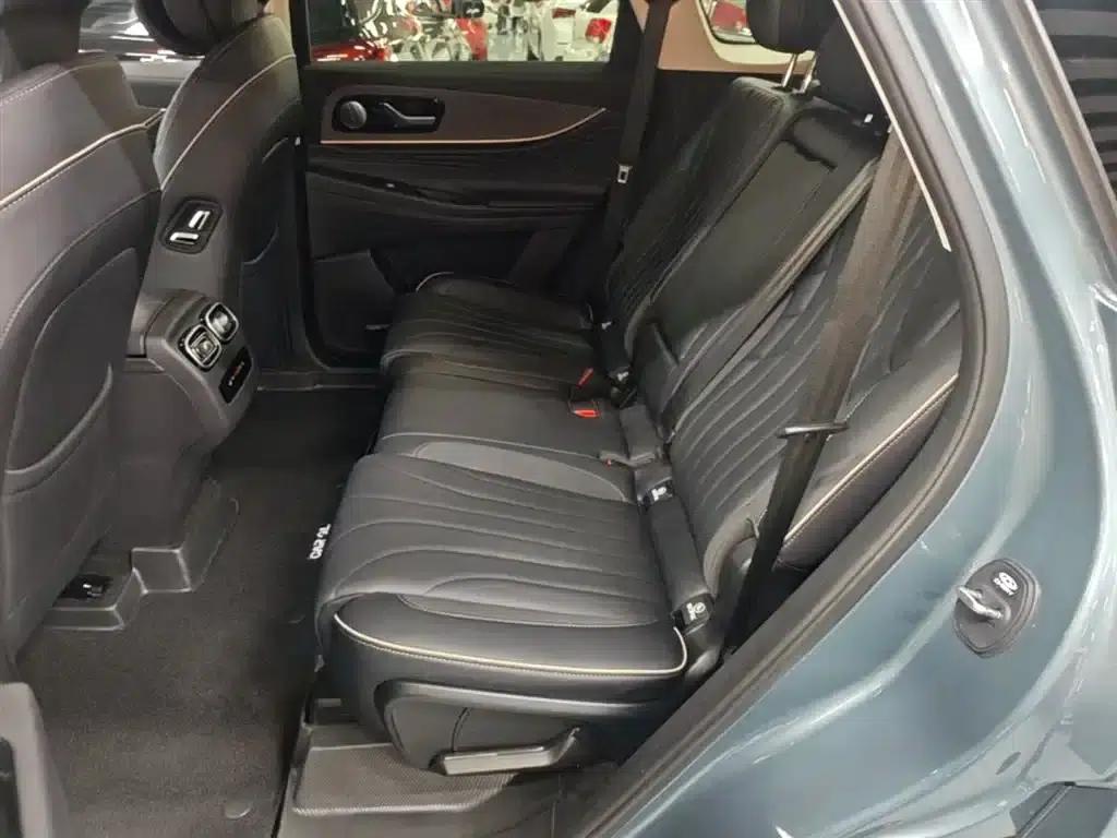 Chery Tiggo 9 2023 2.0T Automatic 2WD Luxury Edition 5-seater — миниатюра 17