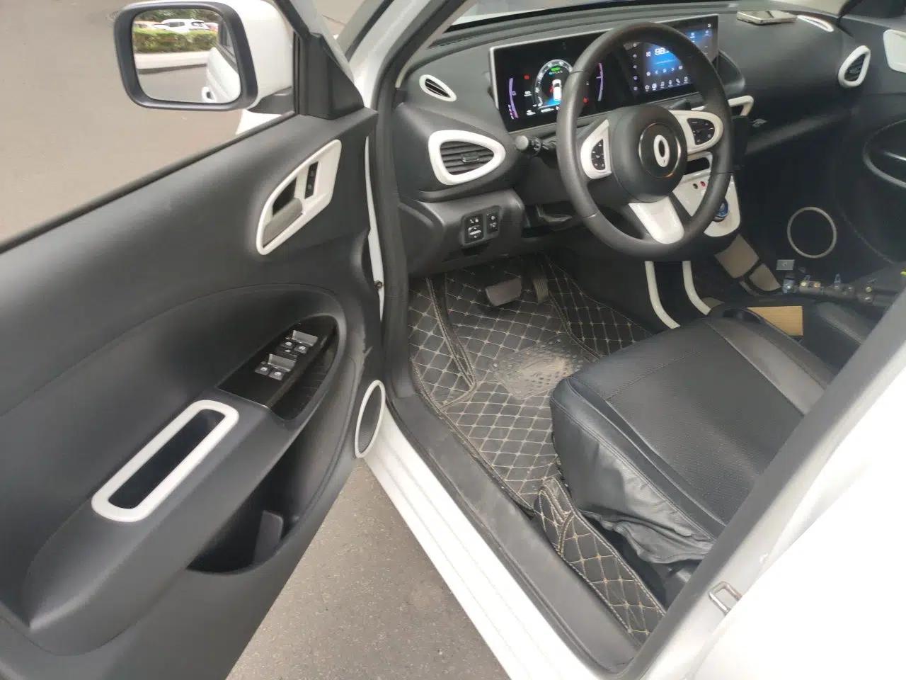 Used ORA White Cat 2020 305 km Luxury Version — миниатюра 16