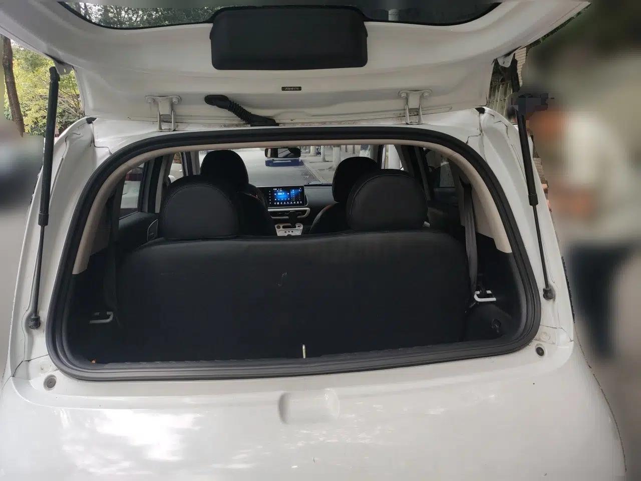 Used ORA White Cat 2020 305 km Luxury Version — миниатюра 19
