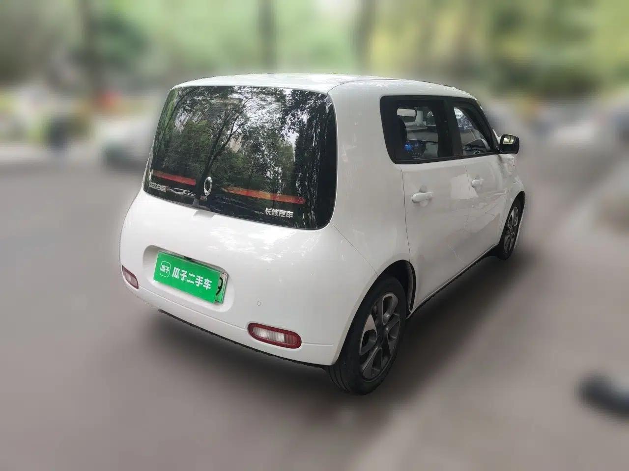 Used ORA White Cat 2020 305 km Luxury Version — миниатюра 6