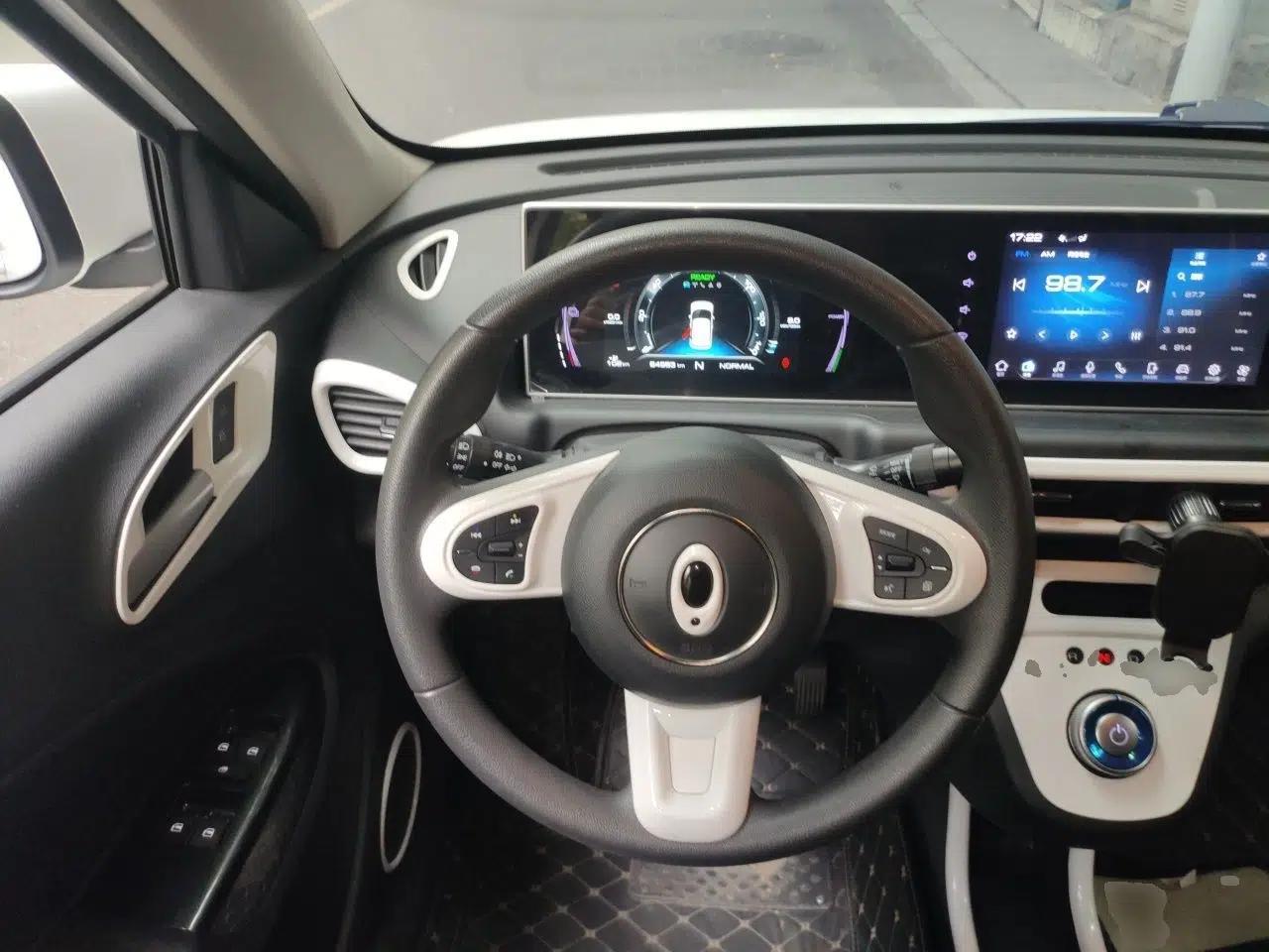 Used ORA White Cat 2020 305 km Luxury Version — миниатюра 10